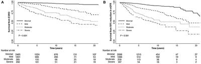 Prognostic value of chronicity grading on renal outcomes in patients with IgA nephropathy